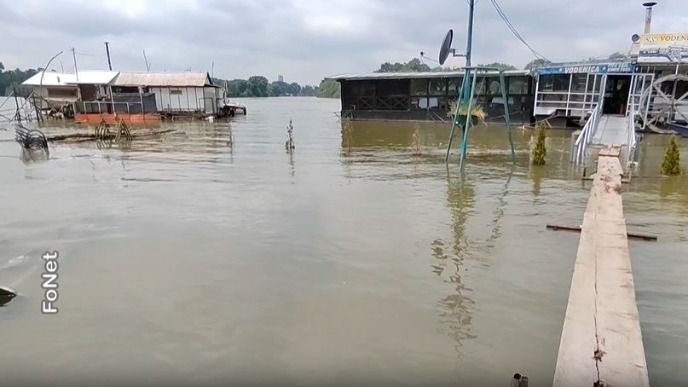 Sava raste kod Šapca
